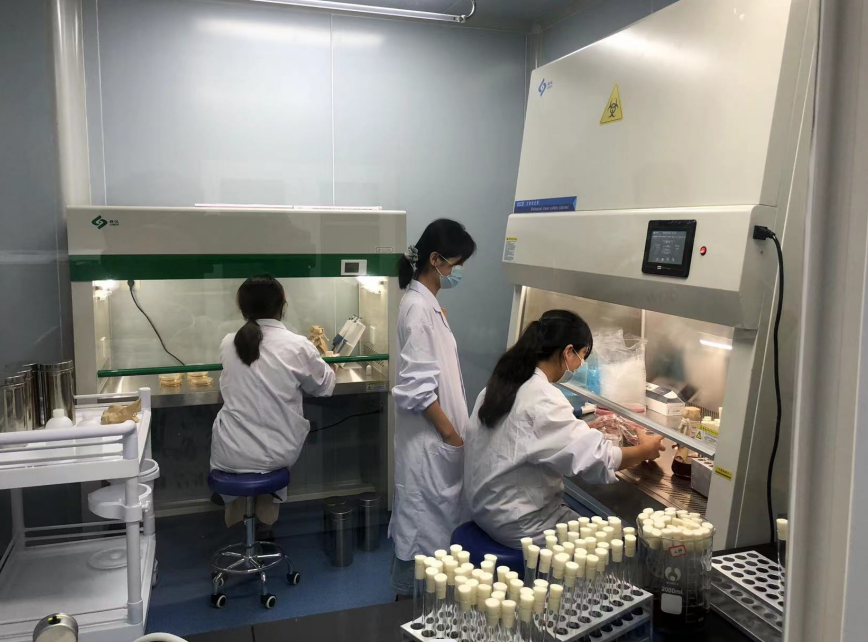 公共衛(wèi)生檢測(cè)的重要性，你了解嗎？