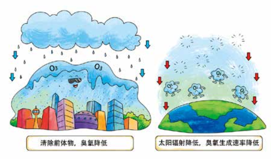 臭氧知識科普（4） | 環(huán)境空氣臭氧會通過哪些方式從空氣中消除呢？降水、植樹可以嗎？